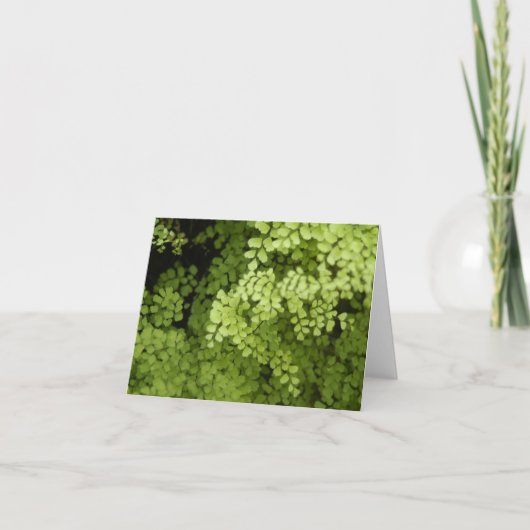 メイデンヘッドフェーン カード (正面)