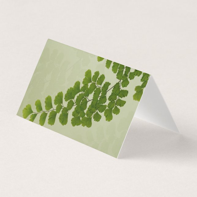 メイドヘアファーンフォンド (正面)