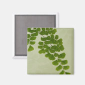 メイドヘアファーンフォンド マグネット (正面/裏面)