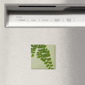 メイドヘアファーンフォンド マグネット (インサイチュ (食洗機))