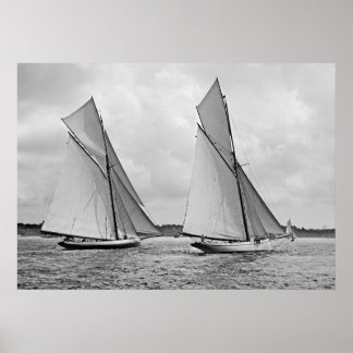 メイフラワーとガラテアスタートアメリカズカップ1886 ポスター