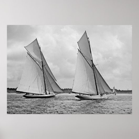 メイフラワーとガラテアスタートアメリカズカップ1886 ポスター (正面)