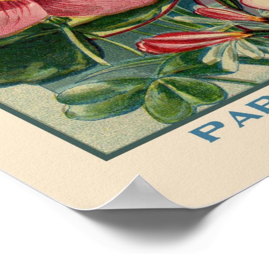 メイフラワーヴィンテージシードカバー ポスター (角)