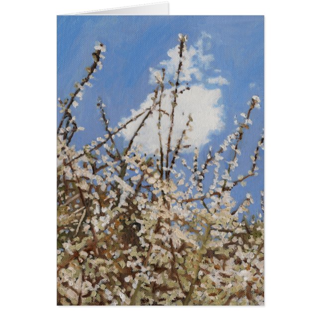 メイフラワー2012 (正面)