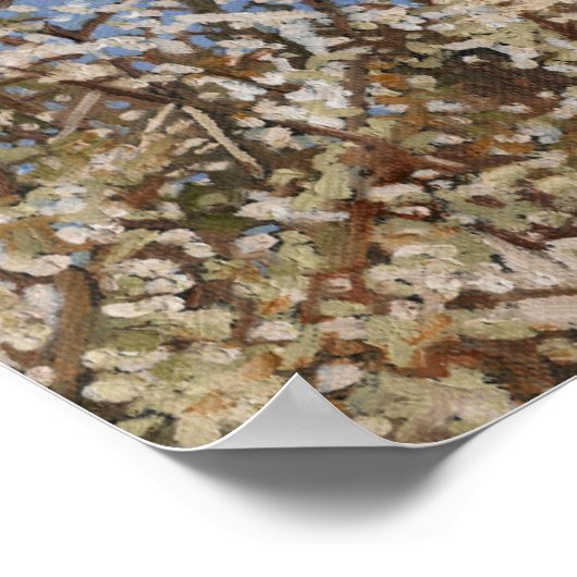 メイフラワー2012 ポスター (角)