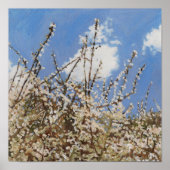 メイフラワー2012 ポスター (正面)