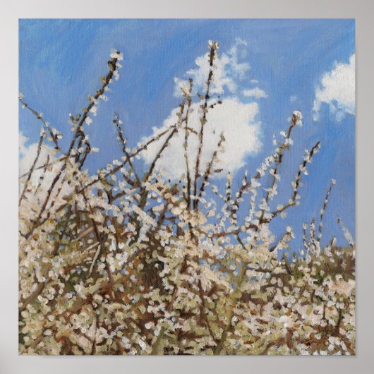 メイフラワー2012 ポスター (正面)