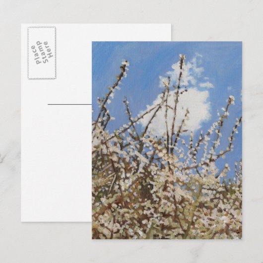 メイフラワー2012 ポストカード (正面/裏面)