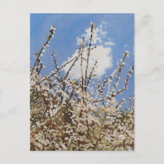 メイフラワー2012 ポストカード (正面)