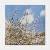 メイフラワー2012 マグネット (正面)