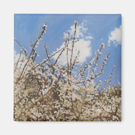 メイフラワー2012 マグネット (正面)