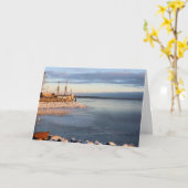 メイフラワーII凍ってい in harbor カード (黄色い花)