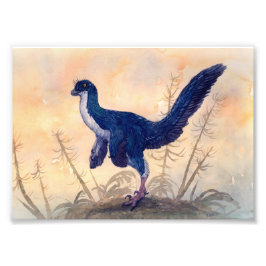 メイプリント フォトプリント           