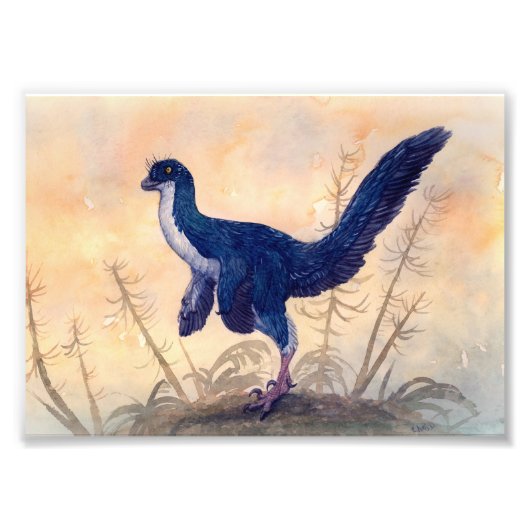 メイプリント フォトプリント            (正面)