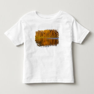メイプルウッド州立公園の秋の色合い近郊 トドラーTシャツ