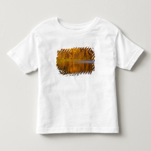 メイプルウッド州立公園の秋の色合い近郊 トドラーTシャツ (正面)
