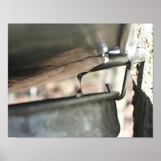 メイプルシュガーランニングサップ自然 ポスター (正面)