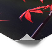 メイプルリーフ, ポスター (角)