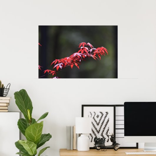 メイプルリーフ, ポスター (ホームオフィス)