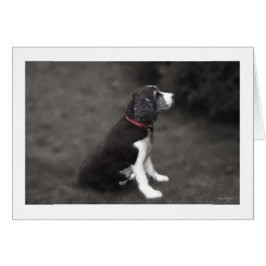 メイベル1号のポートレート