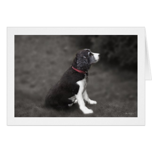 メイベル1号のポートレート (正面横)