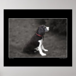 メイベル3ポスターポートレート ポスター