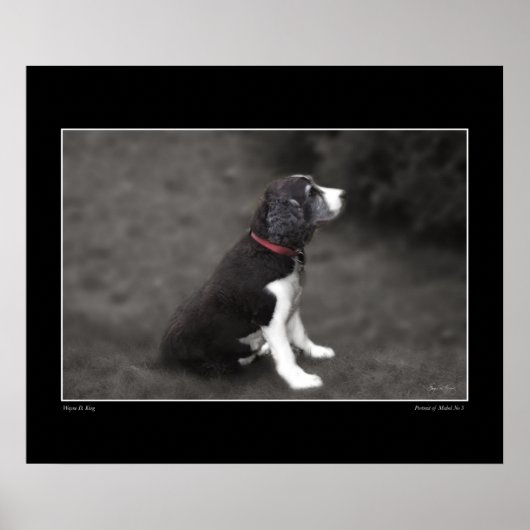 メイベル3ポスターポートレート ポスター (正面)