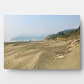 メイヤーズビーチノース、オレゴン州ゴールドビーチ フォトプラーク (正面)