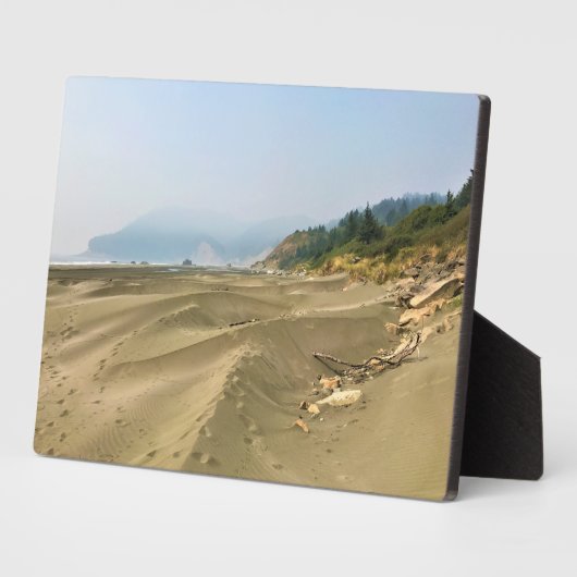 メイヤーズビーチノース、オレゴン州ゴールドビーチ フォトプラーク (側面)