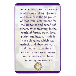 メイヤーババゲーム マグネット