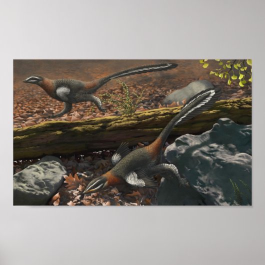 メイロンプリント ポスター (正面)