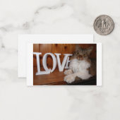 メインあらいぐまの愛猫3.5 x 2 ノートカード (正面/裏面インサイチュ)