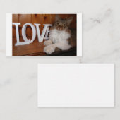 メインあらいぐまの愛猫3.5 x 2 ノートカード (正面/裏面)