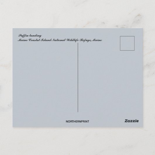 メインにパフィンランディング ポストカード (裏面)