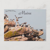 メインにパフィンランディング ポストカード (正面)