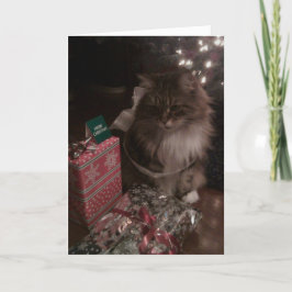 メインのあらいぐまのクリスマス シーズンカード
