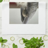 メインのあらいぐまの子ネコのふきん キッチンタオル (折り畳み)