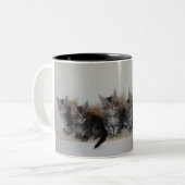 メインのあらいぐまの子ネコのマグ ツートーンマグカップ (正面左)