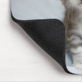 メインのあらいぐまの子ネコ マウスパッド (コーナー)