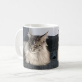 メインのあらいぐま猫のマグ コーヒーマグカップ (正面左)
