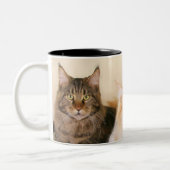 メインのあらいぐま猫のマグ ツートーンマグカップ (左)