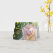 メインのあらいぐま猫の写真のメッセージカード カード (黄色い花)