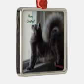 メインのあらいぐま猫の写真 メタルオーナメント (右)