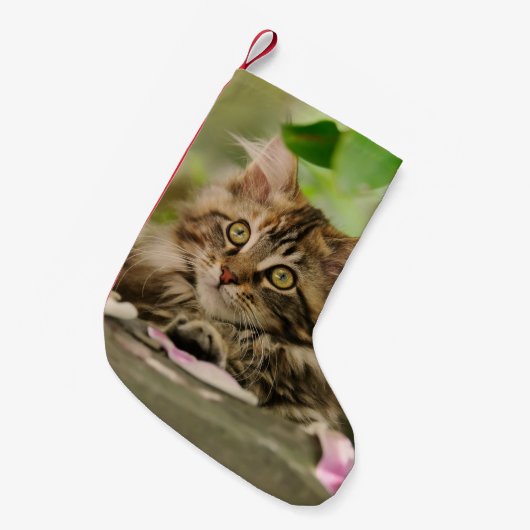 メインのあらいぐま猫の子ネコのサンタのかわいいふた スモールクリスマスストッキング (正面 (吊り時))