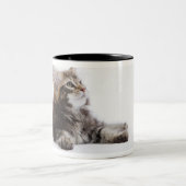 メインのあらいぐま猫の子ネコ ツートーンマグカップ (中央)