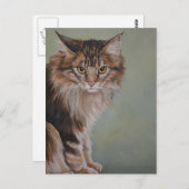 メインのあらいぐま猫の郵便はがき ポストカード (正面/裏面)