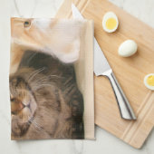 メインのあらいぐま猫 キッチンタオル (四つ折り)