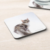 メインのあらいぐま猫 コースター (左側)