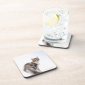 メインのあらいぐま猫 コースター (右側)