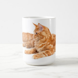 メインのあらいぐま猫 コーヒーマグカップ